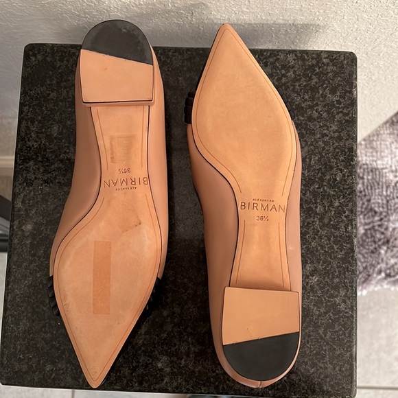 Alexandre Birman Vicky Ballerina Flat - Picture 3 of 9
